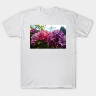 Three Hydrangeas T-Shirt